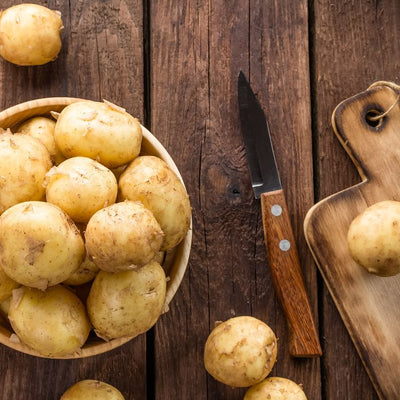 Unveiling the World of Seed Potatoes