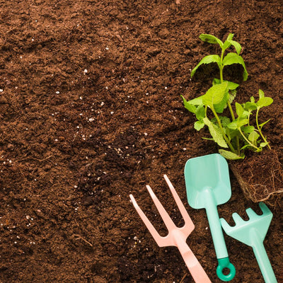 Plant Compost, Feed & Fertiliser for Gardening