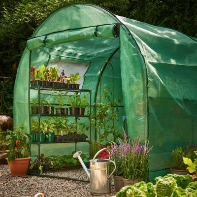 Polytunnel for Propagation and Germination