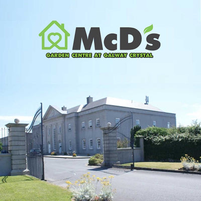 Galway’s Newest Garden Centre Has Arrived at McD’s in Galway Crystal.