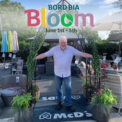 Special Offers For Bord Bia Bloom 2023