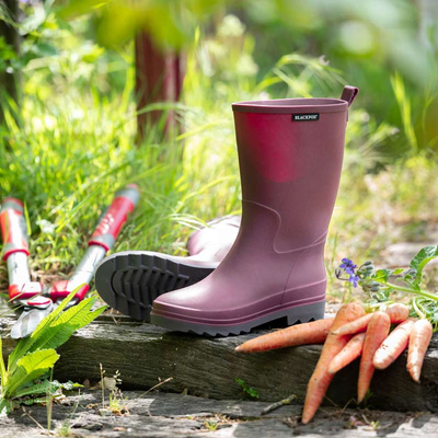 Wellington boots in burgundy colour with garden tools and carrots