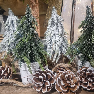 Miniature table top Christmas Trees with pine cones