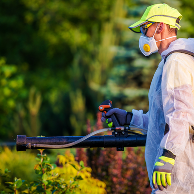 man using garden chemicals on plants 