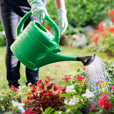 Shop Watering Cans Online