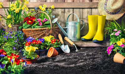 Gardening tools, plants, baskets, pots, boots and watering can.