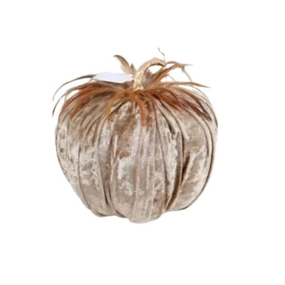 Autumn Champagne Pumpkin with feathers 