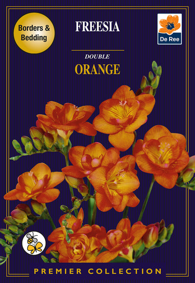Freesia Double Orange  *