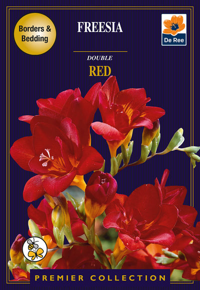 Freesia Double Red  *