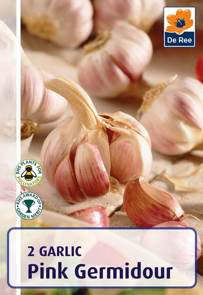 Garlic Pink Germidour