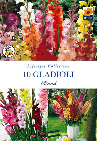 Gladioli Mixed