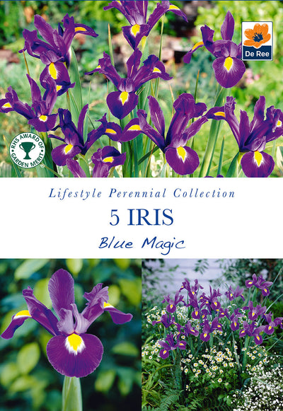 Iris Blue Magic  *