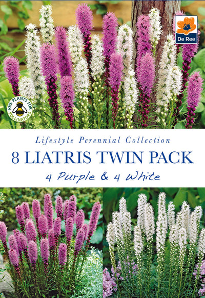 Liatris Twin Pack Purple & White  *