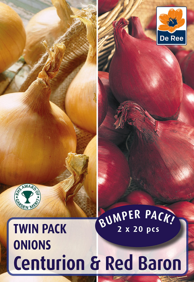 Twin Pack Onions - Centurion / Red Baron