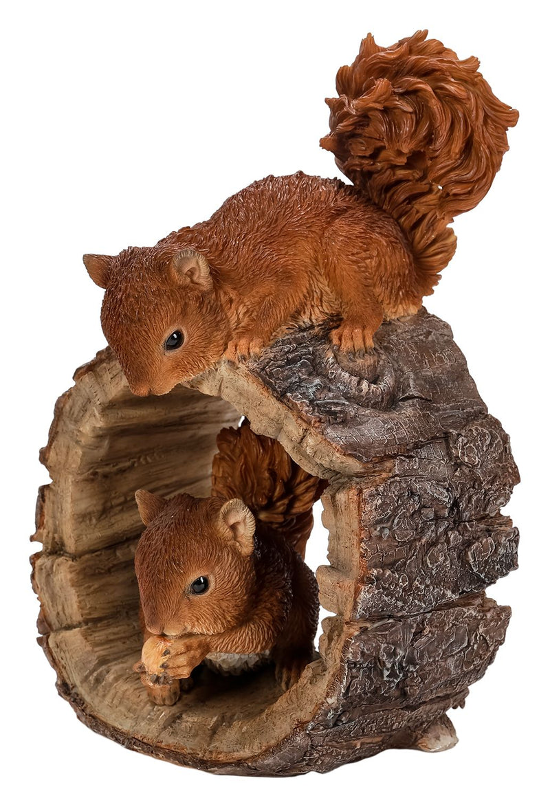 Playful Red Squirrels/Hollow Log 23.5CM