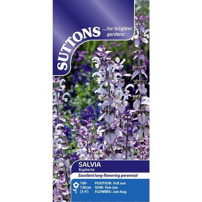 Suttons Salvia Euphoria