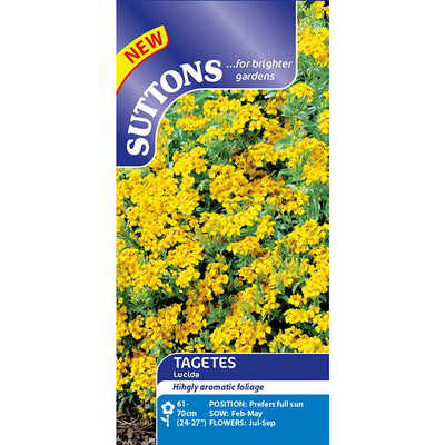Suttons Tagetes Lucida
