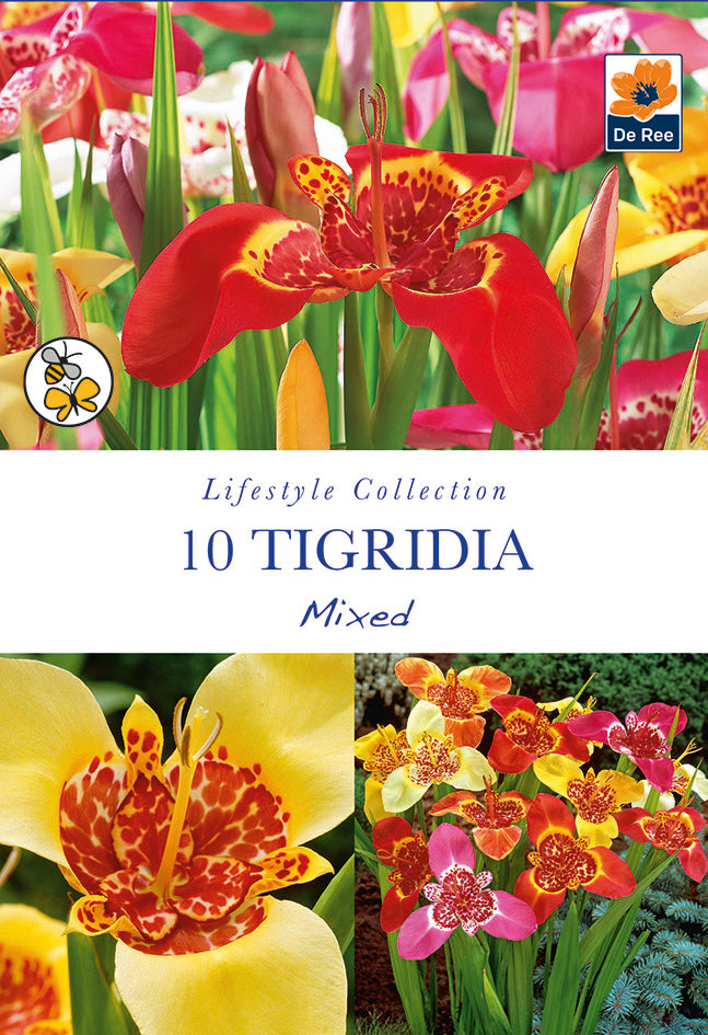 Tigridia Mixed
