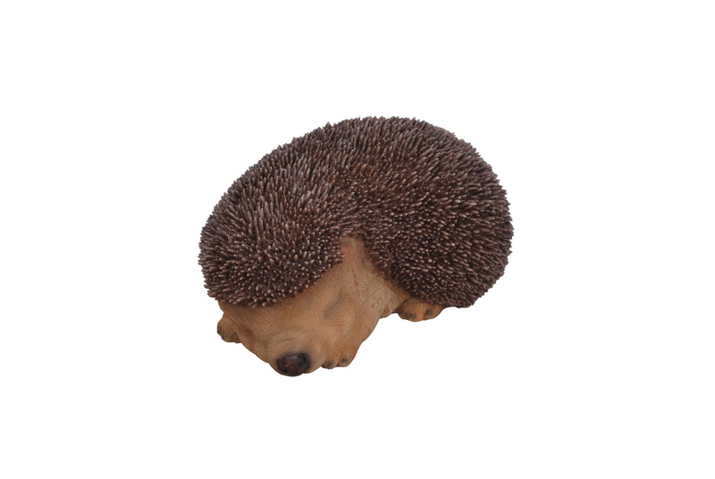 Sleeping Baby Hedgehog 6.5CM