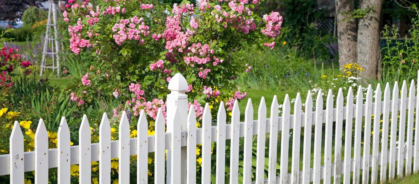 White Painted garden fence with fowers