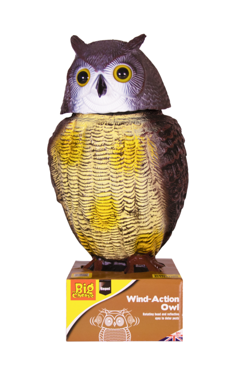 The Big Cheese Wind Action Owl