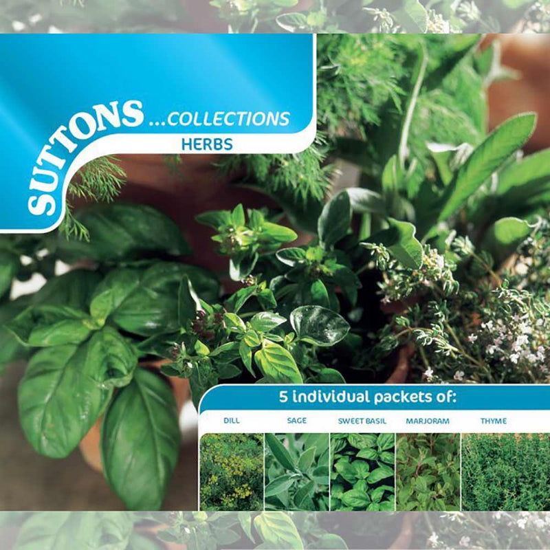 Suttons Collections Herbs Dill Sage Sweet Basil Marjoram Thyme