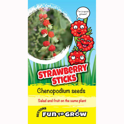 Suttons Fun to Grow Chenopodium Seeds Strawberry Sticks