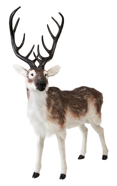 130 cm Medium Reindeer Brown and White