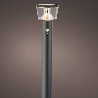 Solar Stake Light Stainless Steel Anthracite with Motion Sensor - 94cm