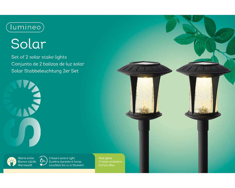 Set of 2 solar stake lights