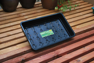 Standard Seed Tray Black With Holes