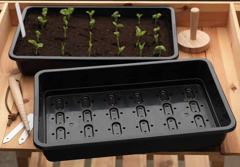Standard Seed Tray Black With Holes                         