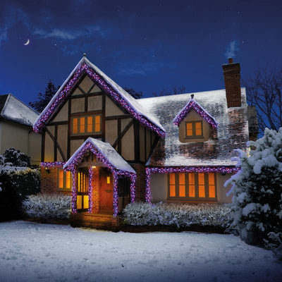 960 Purple Pink Turquoise Orange LED Cluster Brights Christmas Lights