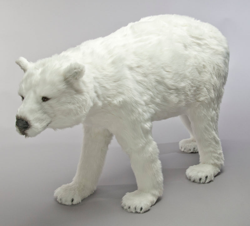 Large fluffy white Polar Bear