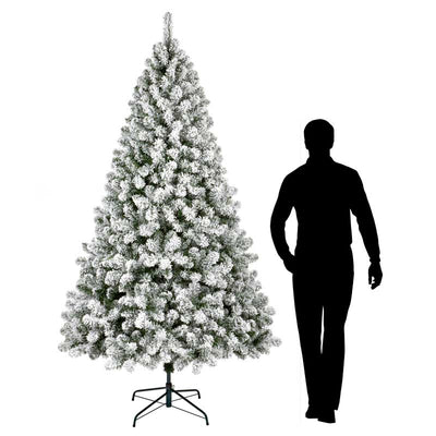 Christmas Tree Height 