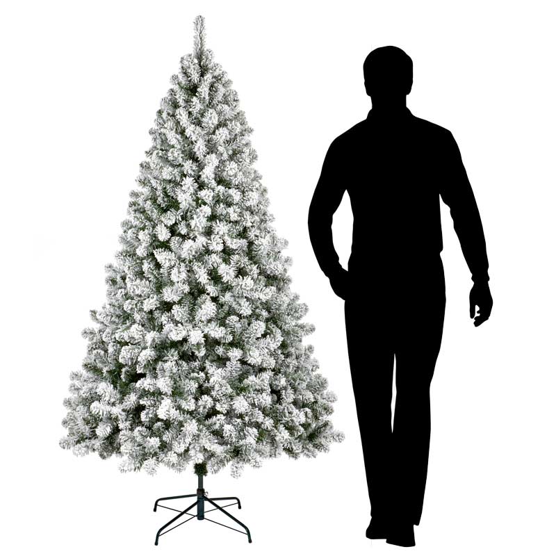 Christmas Tree Height