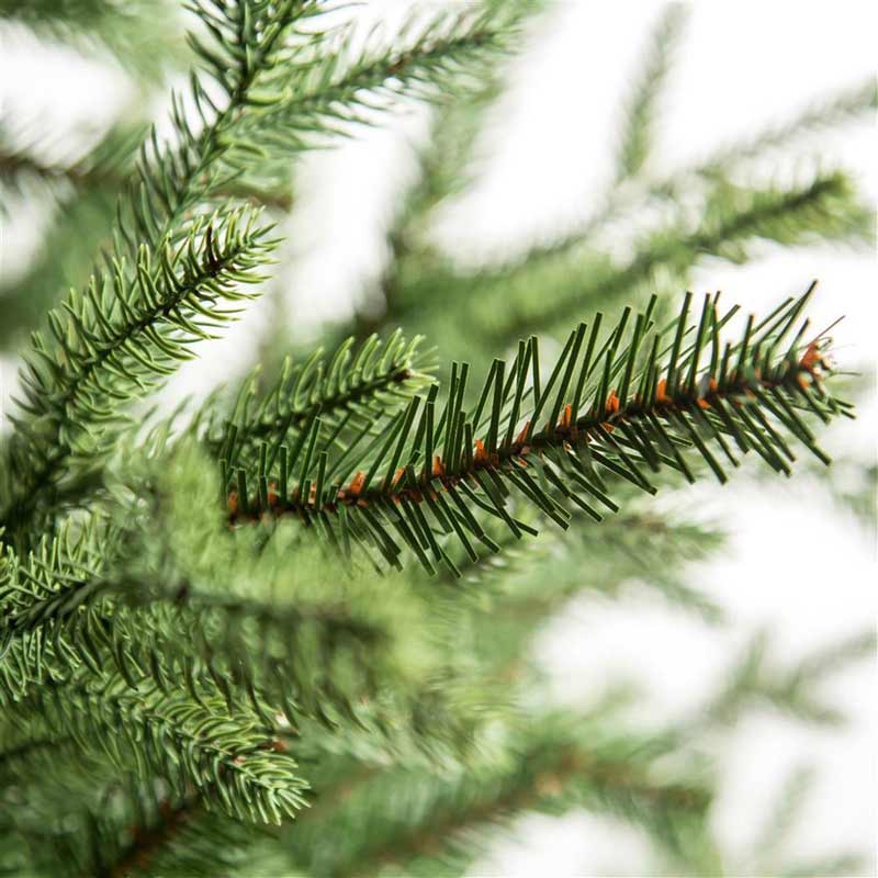 Christmas Tree Pine Detail