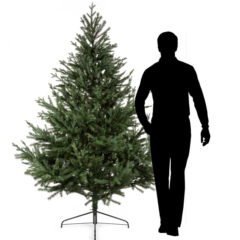 Full Christmas Tree with Man Standing