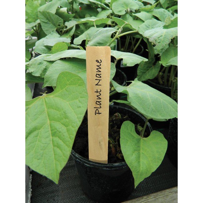 13cm (5") Wooden Plant Labels (10)