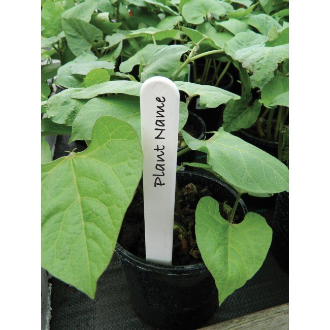 10cm (4") White Plant Labels (50)