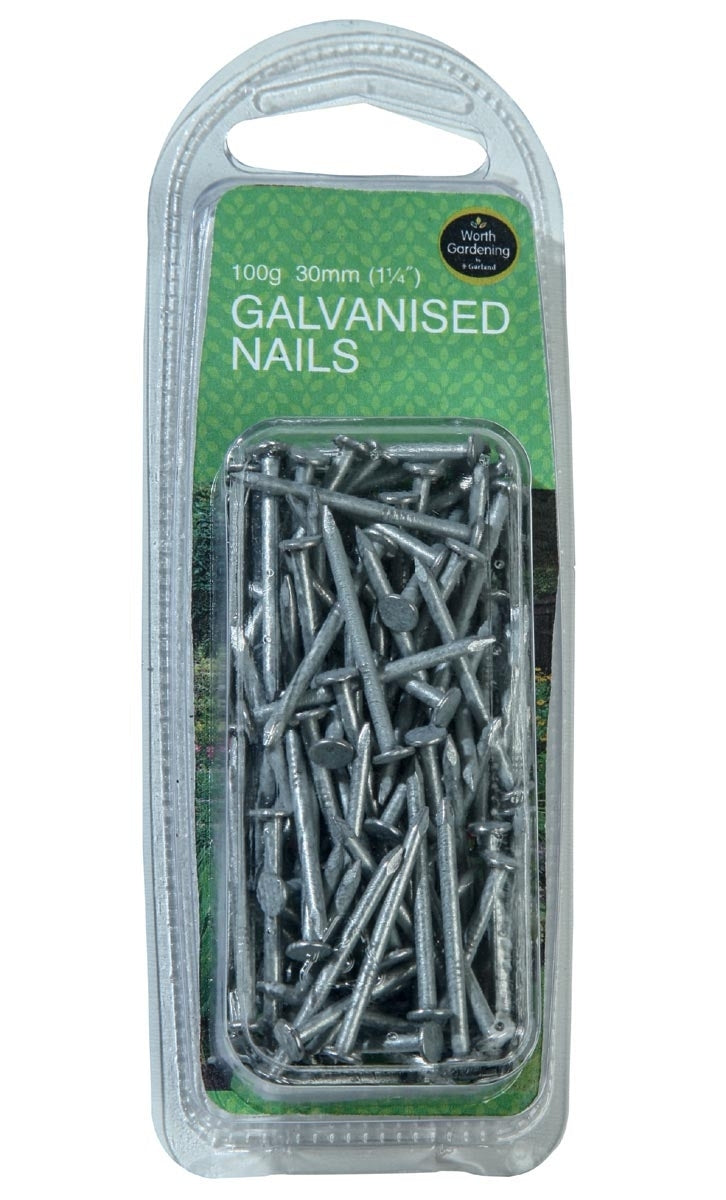 Galvanised Nails (100g)           