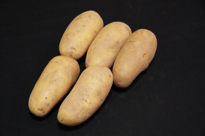 Charlotte Second Earlies 2Kg| Seed Potatoes | Nationwide Delivery