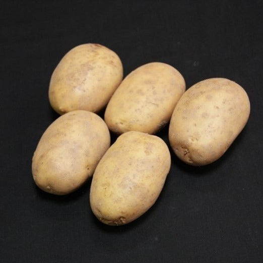 Maris Piper Maincrop 2kg| Seed Potatoes | Nationwide Delivery