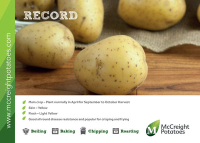 Record Maincrop Potato Guide