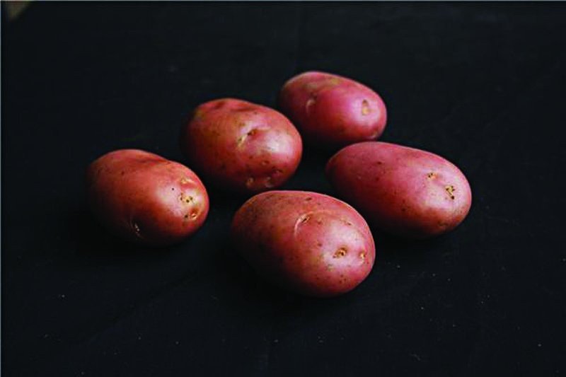 Desiree Maincrop 2Kg| Seed Potatoes | Nationwide Delivery