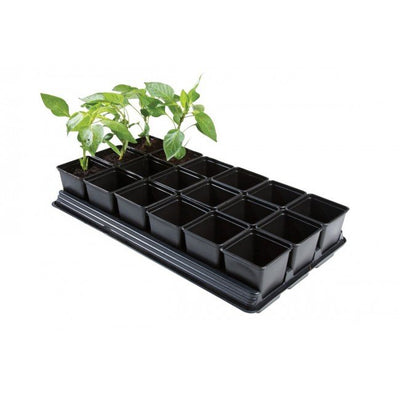 Professional Vegetable Tray (18 x 9cm Sq Pots)